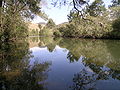 Image 14A pensive Cooplacurripa River, NSW (from River ecosystem)