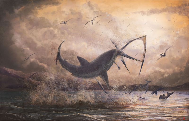 File:Cretoxyrhina attacking Pteranodon.png