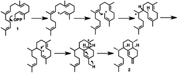 Formation of a cyclohexane from a non-cyclic compound via a Cyclization Reaction