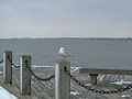 Mascot Dock, Patchogue, NY