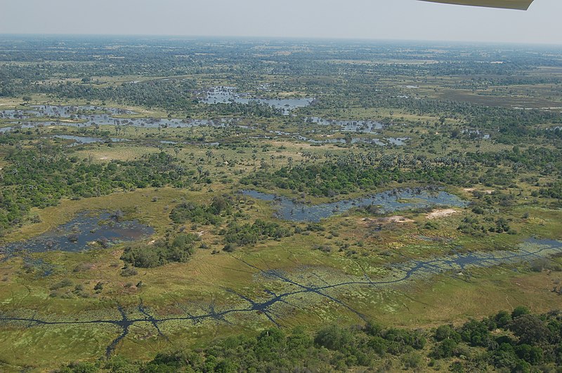 Archivo:Okavango Delta, Botswana (2814015836).jpg