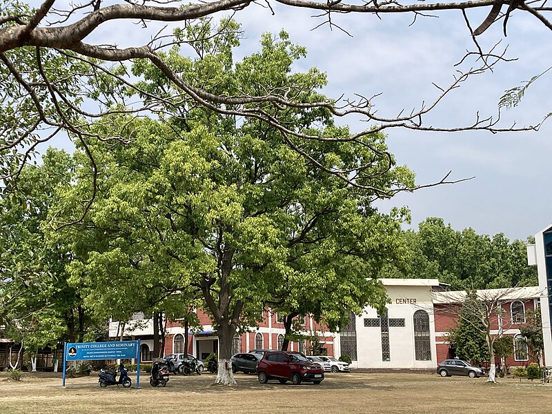 File:Trinity College & Seminary.jpg