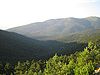 Bosques de pino silvestre en la Sierra de Guadarrama