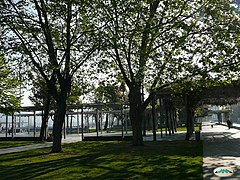 Paseo y jardines en la calle Montero Ríos.