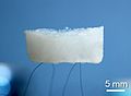 An aerogel held up by hair.[76] (Scientific Reports)