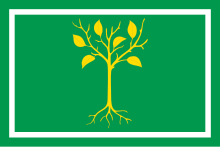 Flag of Chertanovo Tsentralnoye.svg