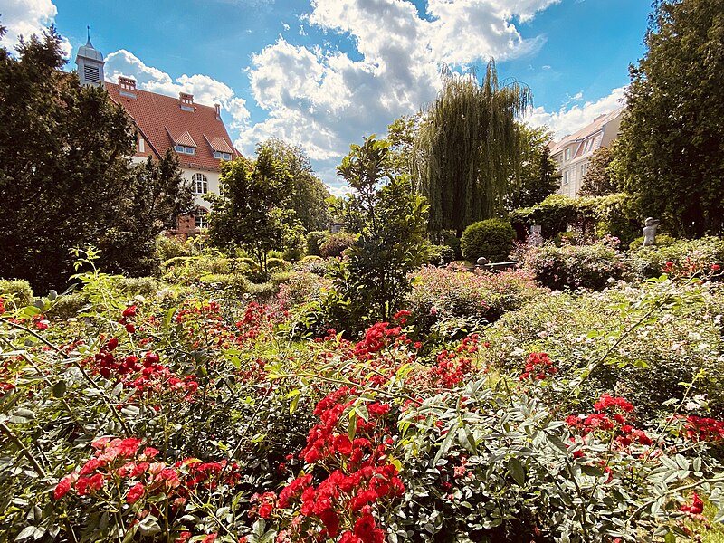 File:Ogrod Botaniczny UKW Rosarium.jpg