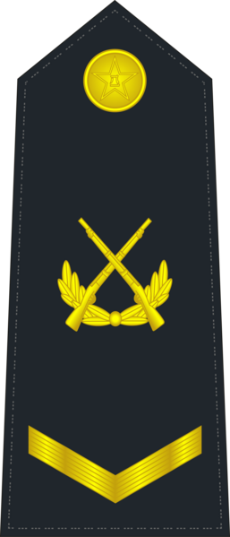 File:PLANF-0704-SGT.png