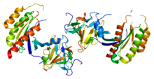 Protein RAB8A PDB 2fu5.png