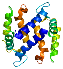 Protein S100A3 PDB 1kso.png