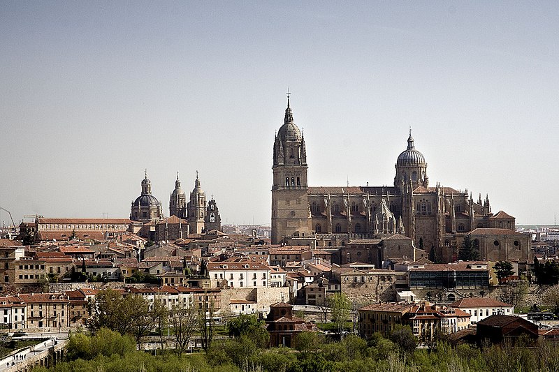 Archivo:Salamanca 2008.jpg