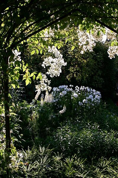 File:Sissinghurst white garden.jpg