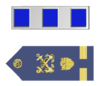 U.S. Coast Guard Chief Warrant Officer 4 Rank Insignia