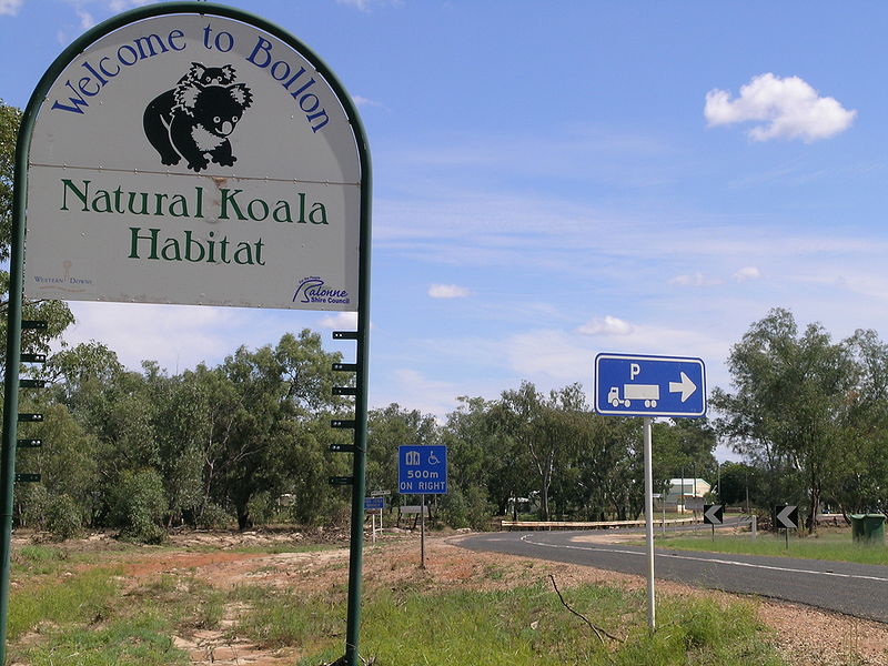 File:Bollon-QLD.JPG