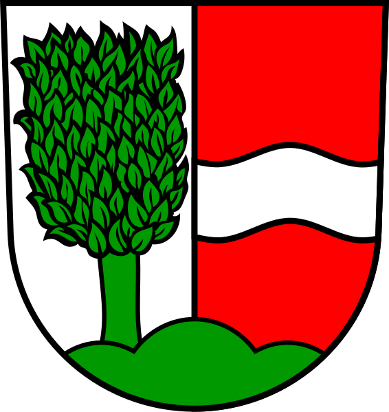 File:DEU Buchenbach COA.svg