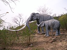 ExtinctElephant-SiwalikHills.JPG