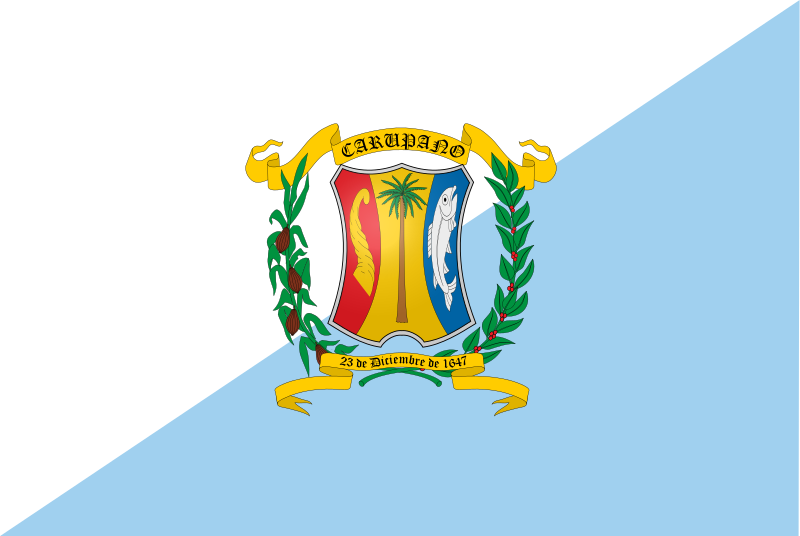 Archivo:Flag of Municipio Bermudez.svg