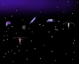 Six relatively large variously-shaped organisms with dozens of small light-colored dots all against a dark background. Some of the organisms have antennae that are longer than their bodies.