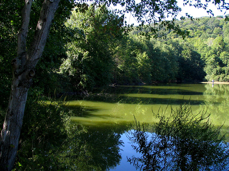 File:Scarlet Oak Pond.jpg