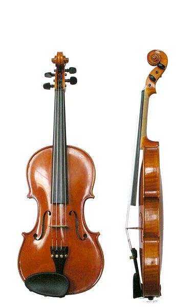 Файл:Violin VL100.jpg