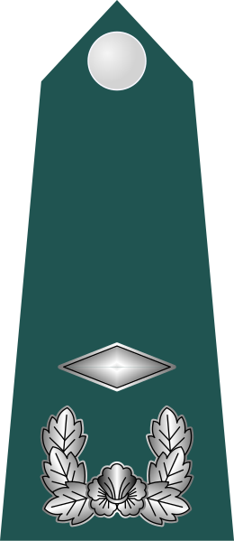 Файл:10.SKA-2LT.svg