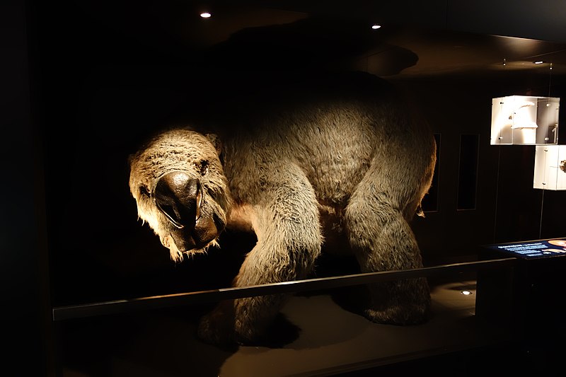 File:Diprotodon sculpture.jpg