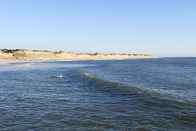 A 1,5 km way along the Sand dunes in Ofir, Esposende.