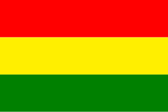 File:Flag of BNP.svg