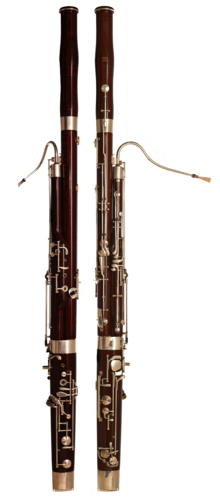 FoxBassoon.png