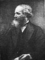 James Clerk Maxwell, mathematical physicist