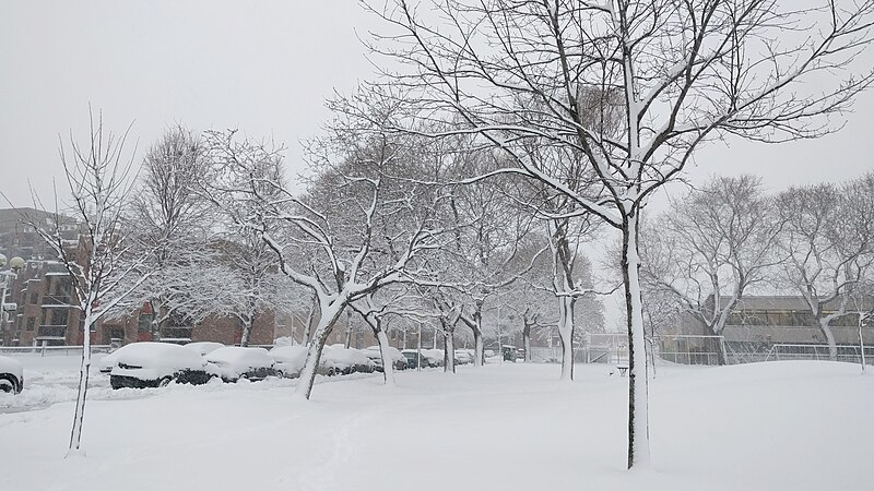 File:Montreal Winter Snowing.jpg