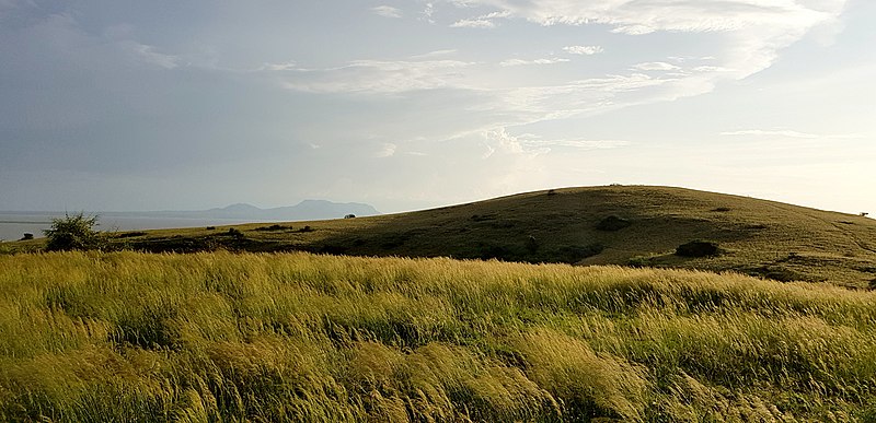 File:Ndere Island.jpg