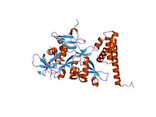 PDB 2fmm EBI.jpg