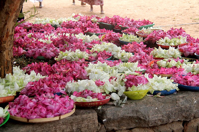 File:Seruvila lotus pooja 3.jpg