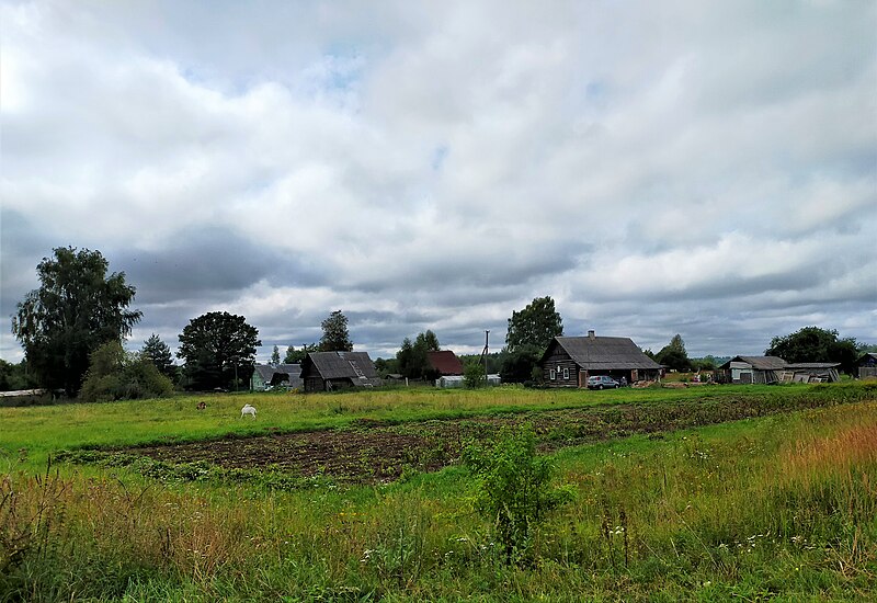 Файл:Sopki village.jpg