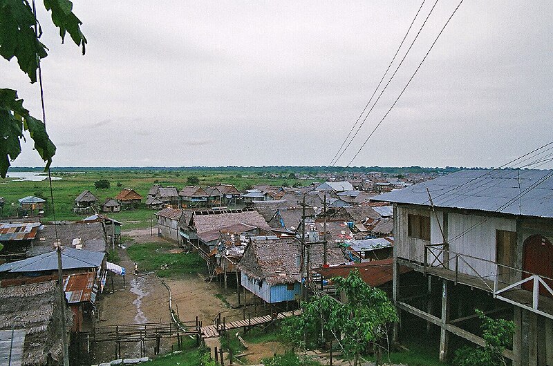 Archivo:Venice of the Amazon.jpg