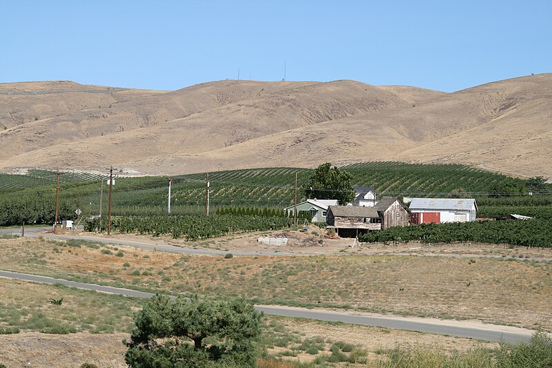 File:View from Sagelands Vineyard.jpg