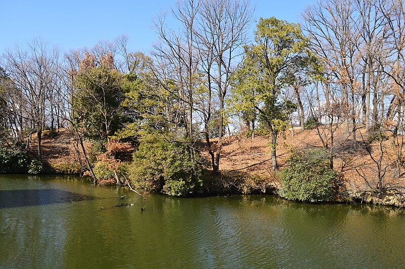 File:Hazamiyama Kofun, funkyu.jpg