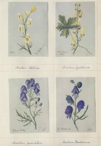 File:Plunkett volume Aconitum 1.png