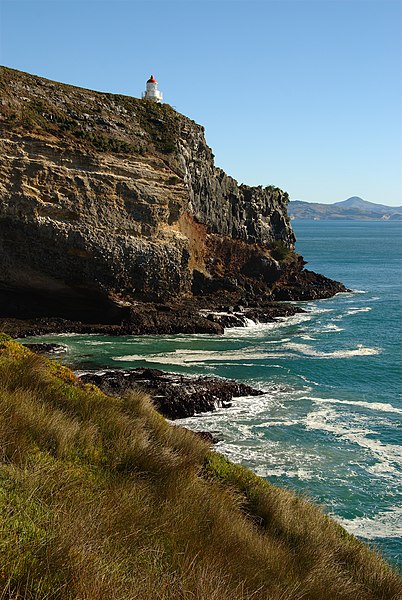 File:Taiaroa Head 2.jpg