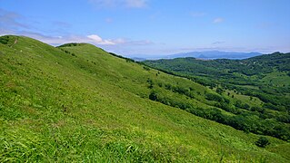 Юго-восточный склон Змеиного хребта. Падь Ходи-Мировская