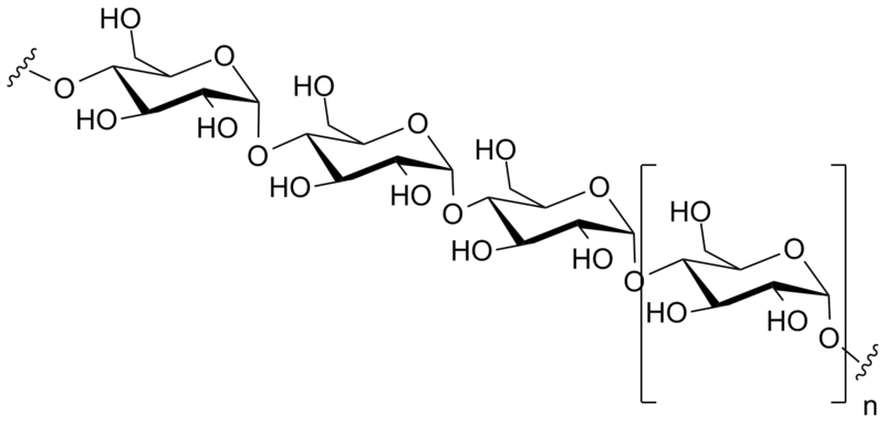 File:Amylose 3Dprojection.corrected.png