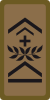 OR-7a - Quartermaster sergeant