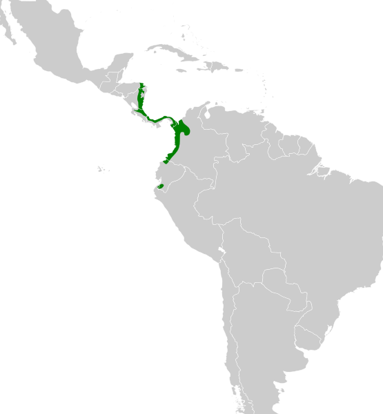 File:Chalybura urochrysia map.svg