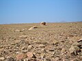 Desert above Tamchy