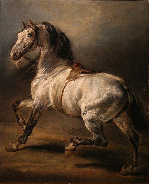 Файл:Géricault-étude de cheval gris.jpg