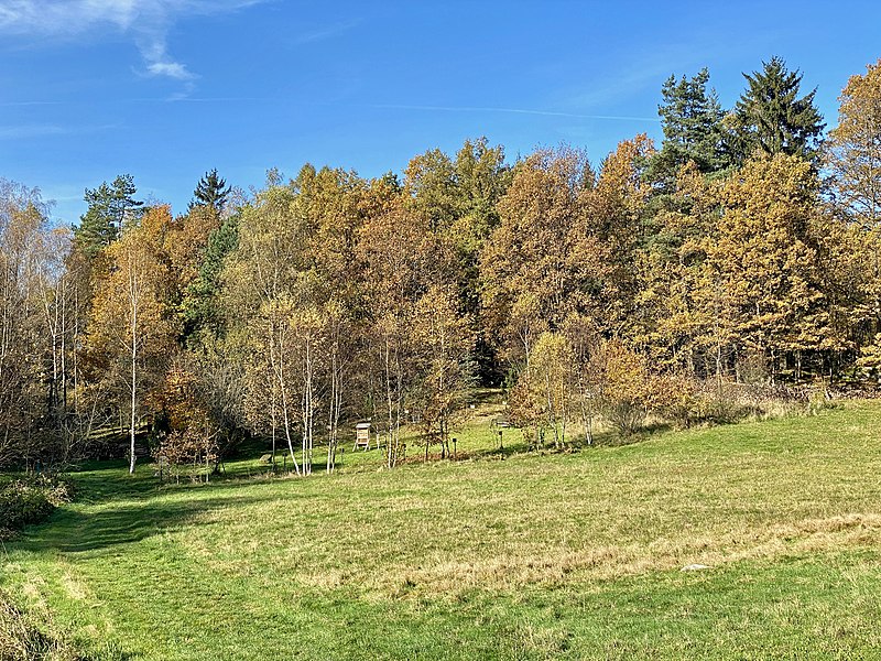 File:Gmünd Blockheide Keltischer Baumkreis.jpg