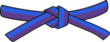 Judo blue-purple belt.svg