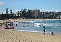 Manly beach in 2013