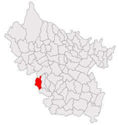 Location in Buzău County